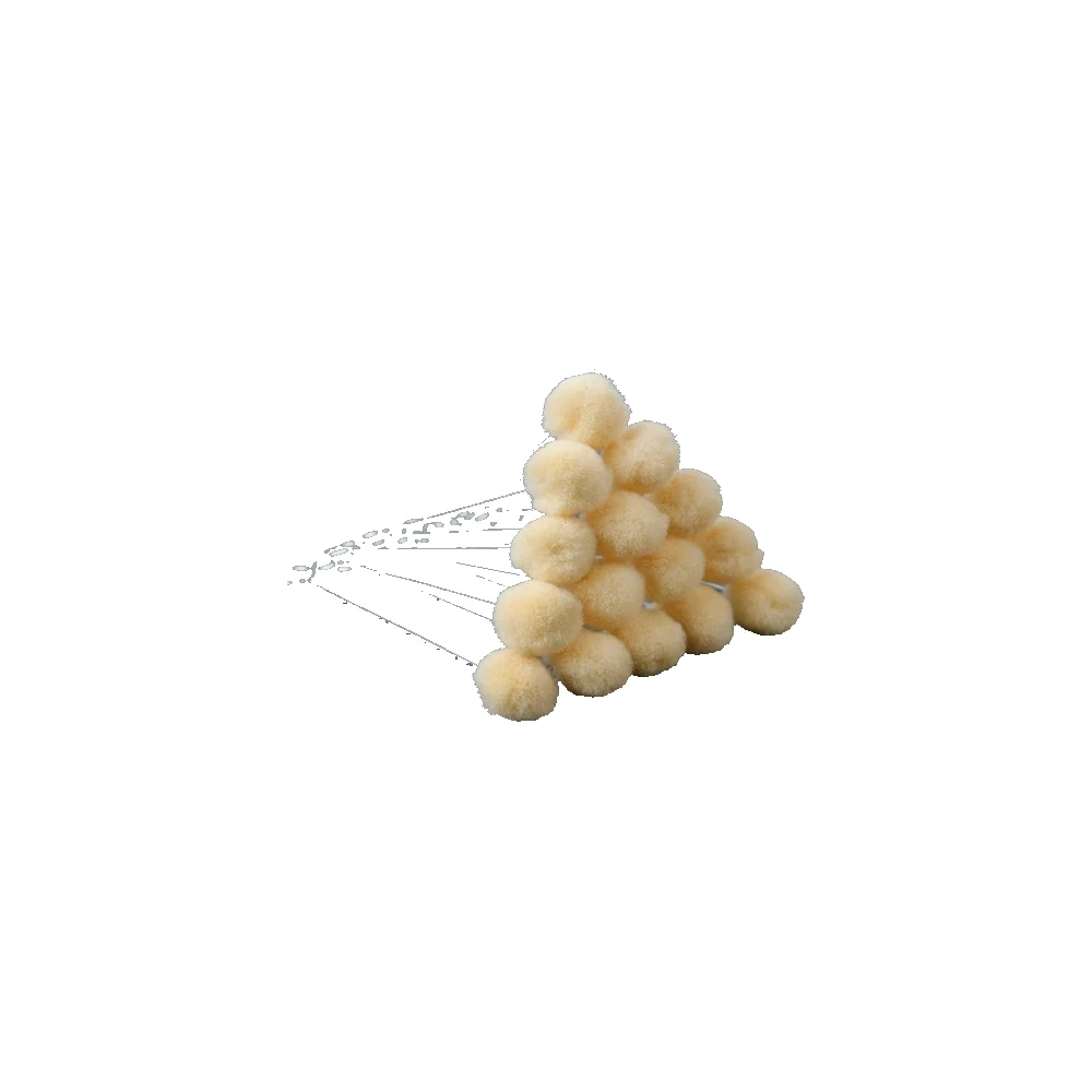 Brosse de nettoyage